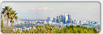 Los Angeles Technical Translation Services